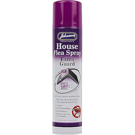 frontline home guard