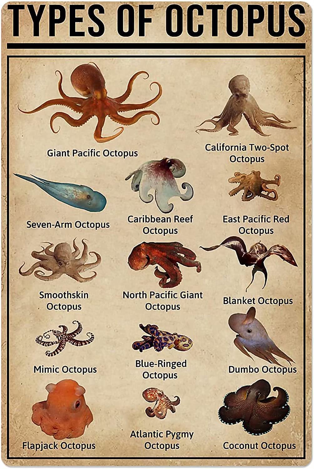 Yunking Metal Art Decor Wall Art Types of Octopus Octopus Knowledge Retro Metal Poster Fisherman's Reference Guide Plaques Home Bedroom Farmhouse Wall Decores Metal Sign 8x12 inch