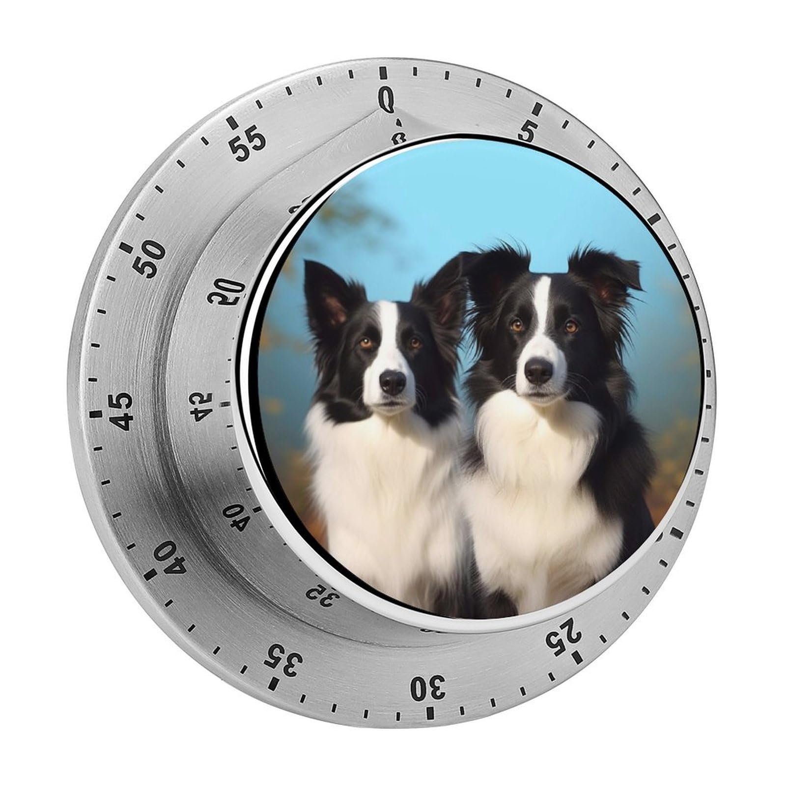 Border Collie Kitchen Timer for Cooking Chef Cooking Magnetic Timer Loud Alarm Mechanical Desk Stainless Countdown Reminder