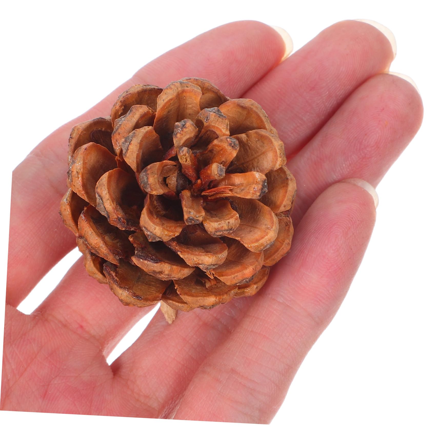 Piñas Naturales Pequeñas 3-4 Cm para Manualidades Navideñas y Decorar Jarrones, 130 Unidades, Piñas Otoñales De Pino para Acción De Gracias y Decoración De Temporada