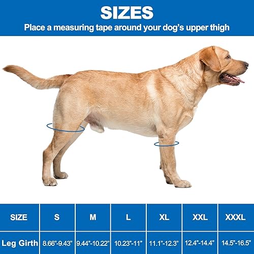 Miniatura 4 de HUAME Rodillera de perro, soporte para pierna de perro para pierna trasera para ACL, dislocación de la rótula, artritis, reduce el dolor y la