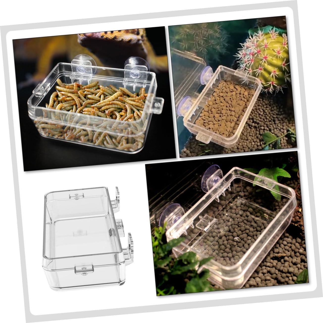 Reptile Water Bowl Reptile Feeding Bowl,Pet Feeder Suction Cup Gecko Feeder Lizard Feeder Escape Reptile Bowl Reptile Water Dish Reptile Feeding Container Reptile