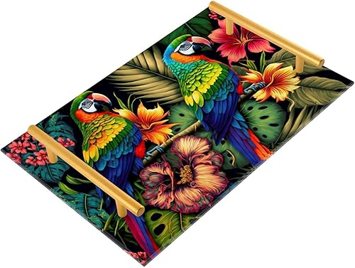 Bandeja de tocador de loros coloridos, bandeja rectangular de acrílico para baño, bandejas para servir para centros de mesa, decoración moderna del