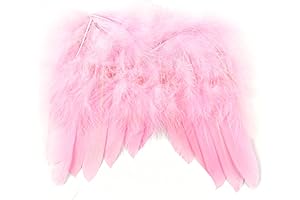 Touch of Nature Mini Feather Wings in Soft Pink