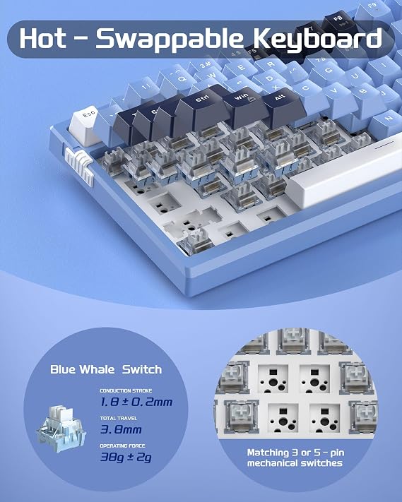 MageGee SKY81 75% Mechanical Gaming Keyboard, Gasket Hot Swappable Wired Custom Creamy Keyboard w/ 5-Layer Sound Padding, Knob Control, RGB Backlit, NKRO for Win/Mac (Prussian Blue, Blue Whale Switch)