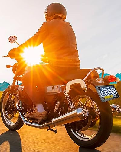 Miniatura 6 de Marco de matrícula de motocicleta con tornillos y tuercas de calavera, tornillos y tuercas, soporte de placa de acero inoxidable negro para