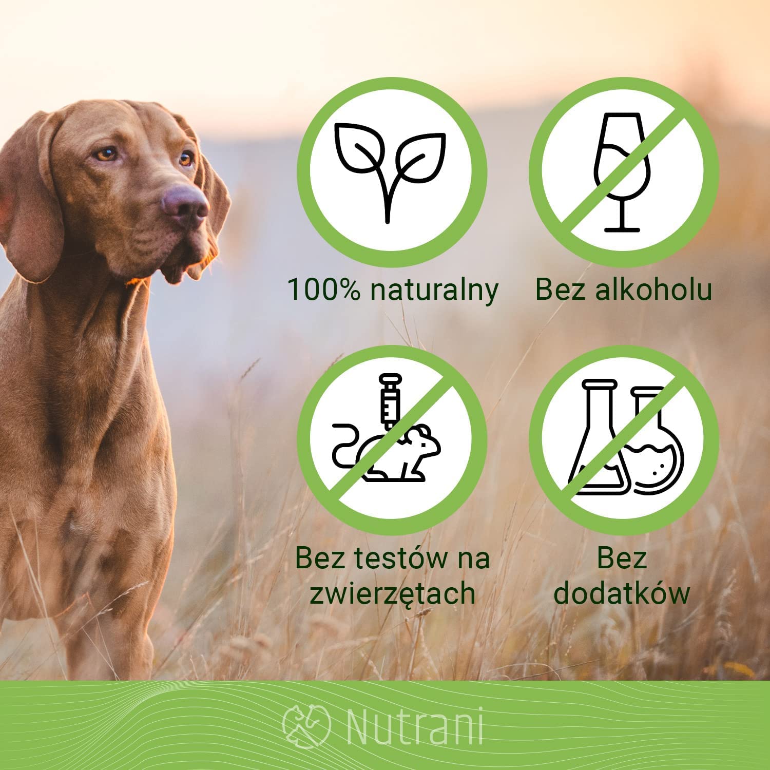 Balsam do łap z woskiem pszczelim dla psów i kotów | 40 ml – 100% naturalny balsam nadaje się do pielęgnacji łap i ochrony łap Wykonano w Niemczech