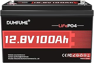 12V 100Ah LiFePO4 Lithium Batterie, 1280Wh Deep Cycle - Leistungsstarker Solar Akku für Wohnmobil, Off-Grid Anlagen und Haus-Energiespeicher mit 100A BMS
