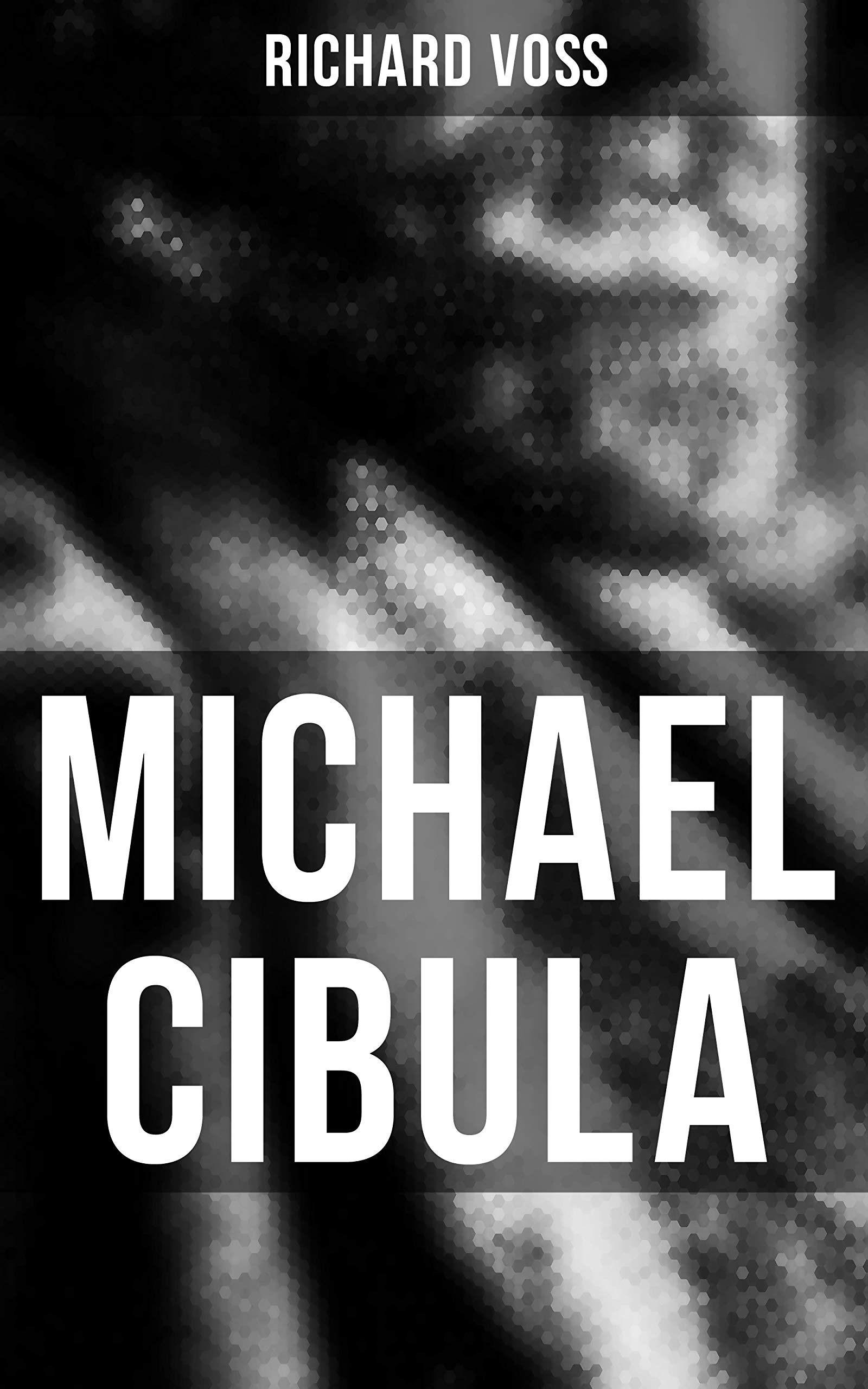 Michael Cibula: Roman (German Edition)