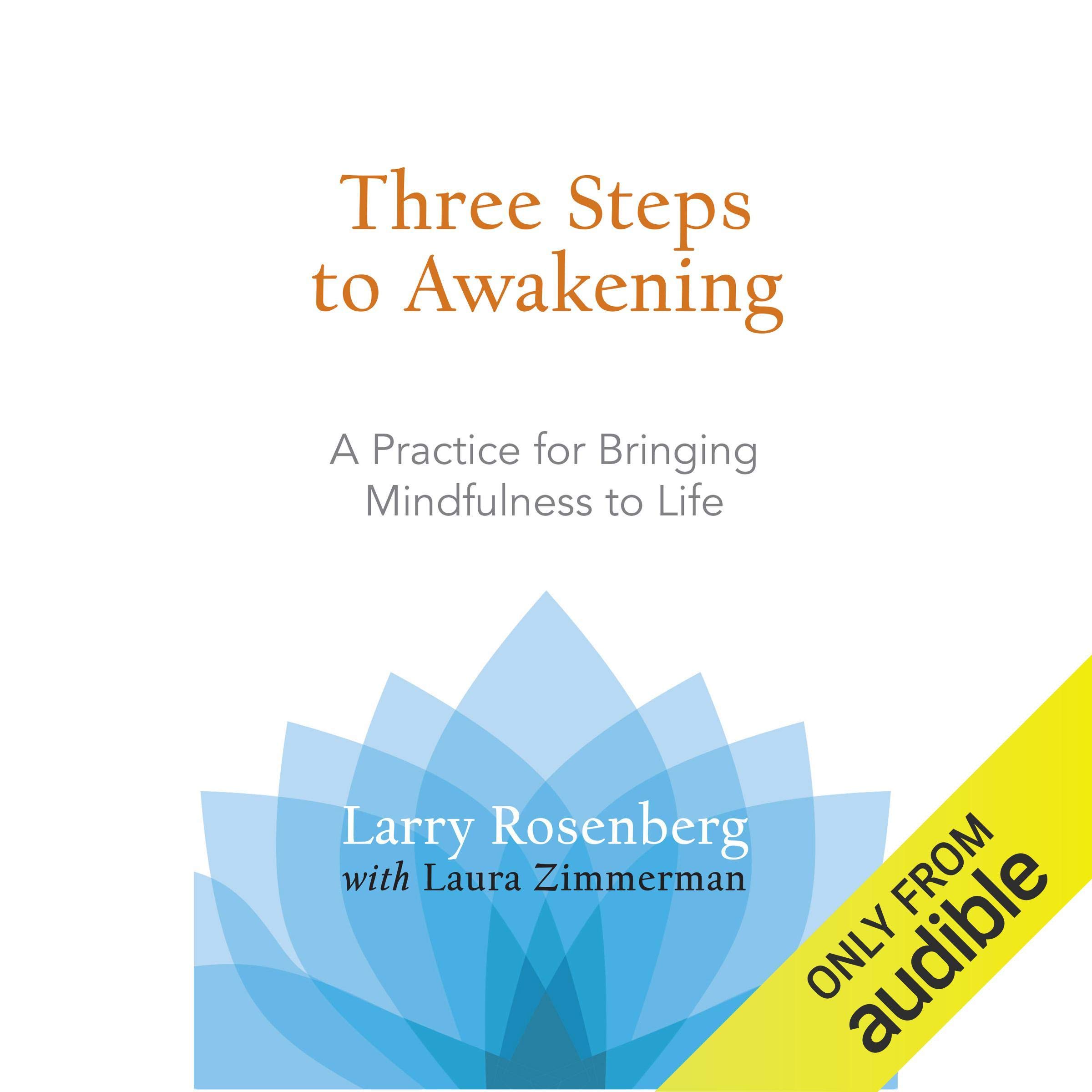 Cover art for Three Steps to Awakening