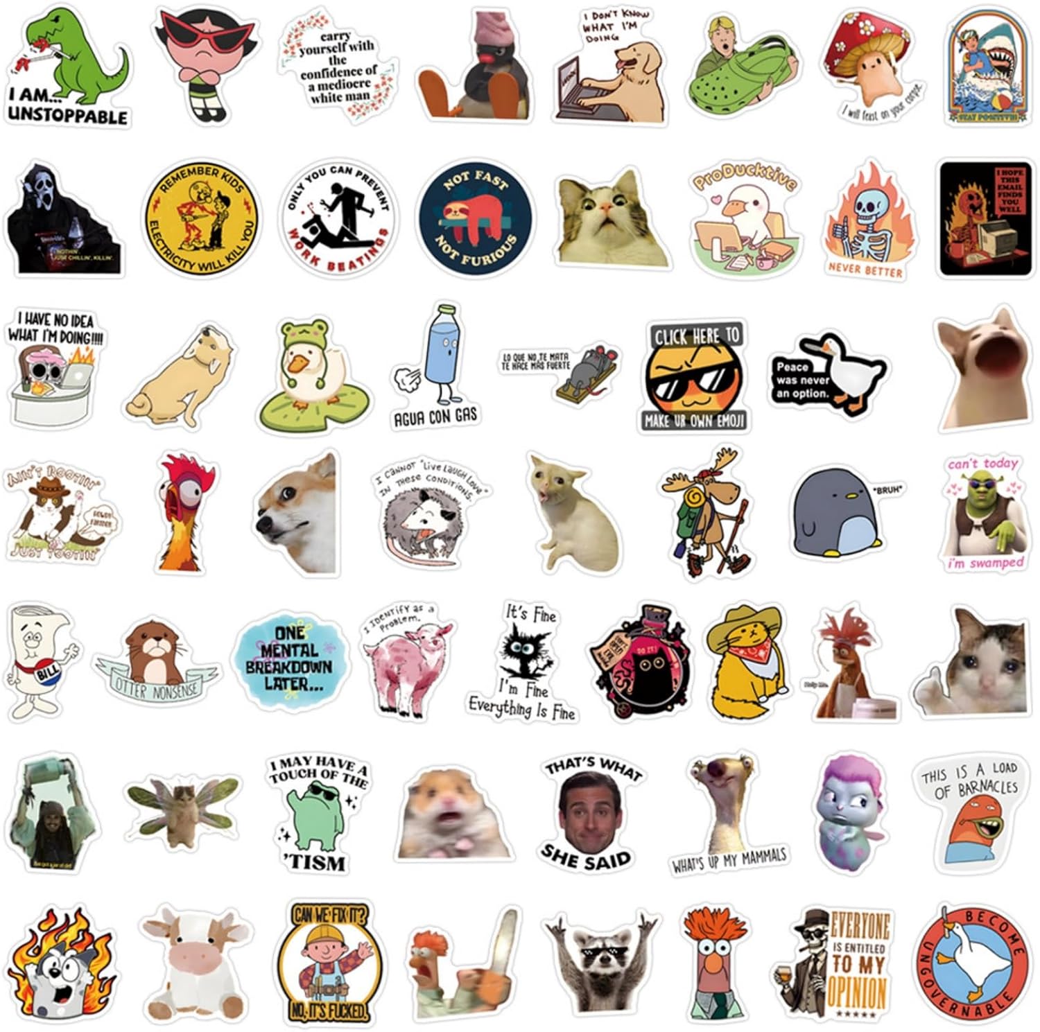 55Pcs Funny Meme Stickers Pack, Waterproof Vinyl Sarcastic Decals for Laptop, Water Bottle, Phone, Kindle, Journal, Scrapbook, Bumper, Skateboard, Luggage, No Repeats (55)