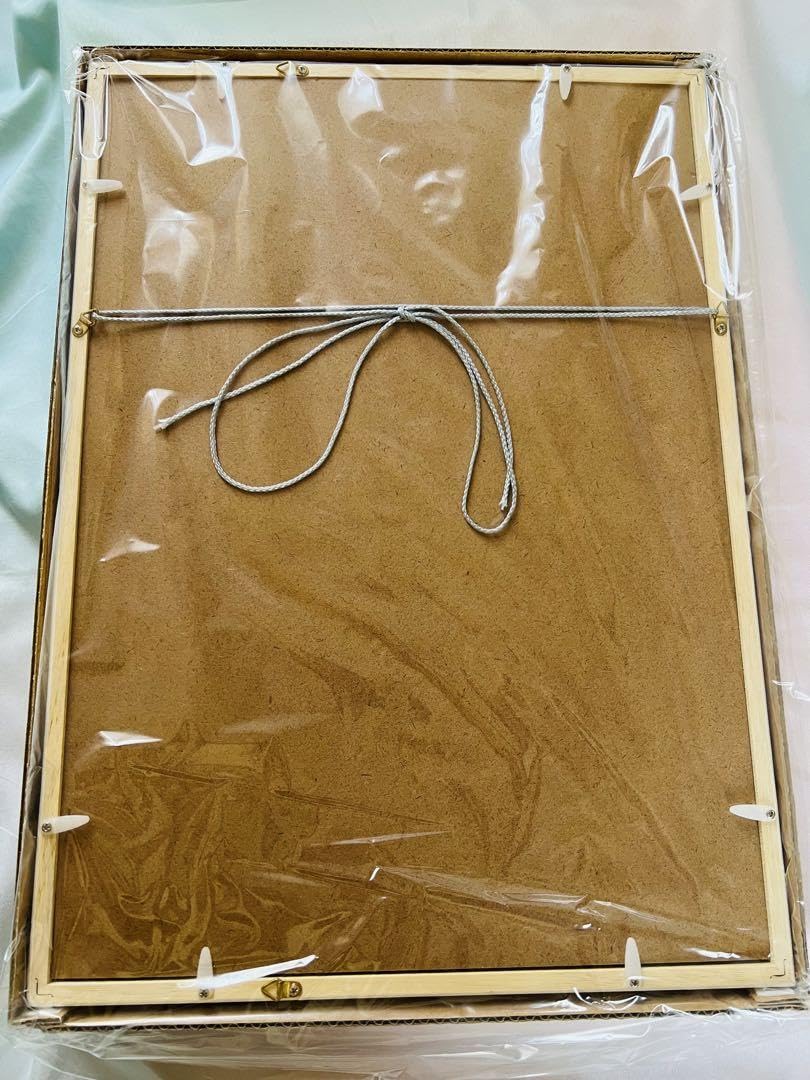 ときメモGS額装イラスト(不二山嵐＆新名旬平) Amazon.co.jp: ときメモGS額装イラスト(不二山嵐＆新名旬平) : おもちゃ