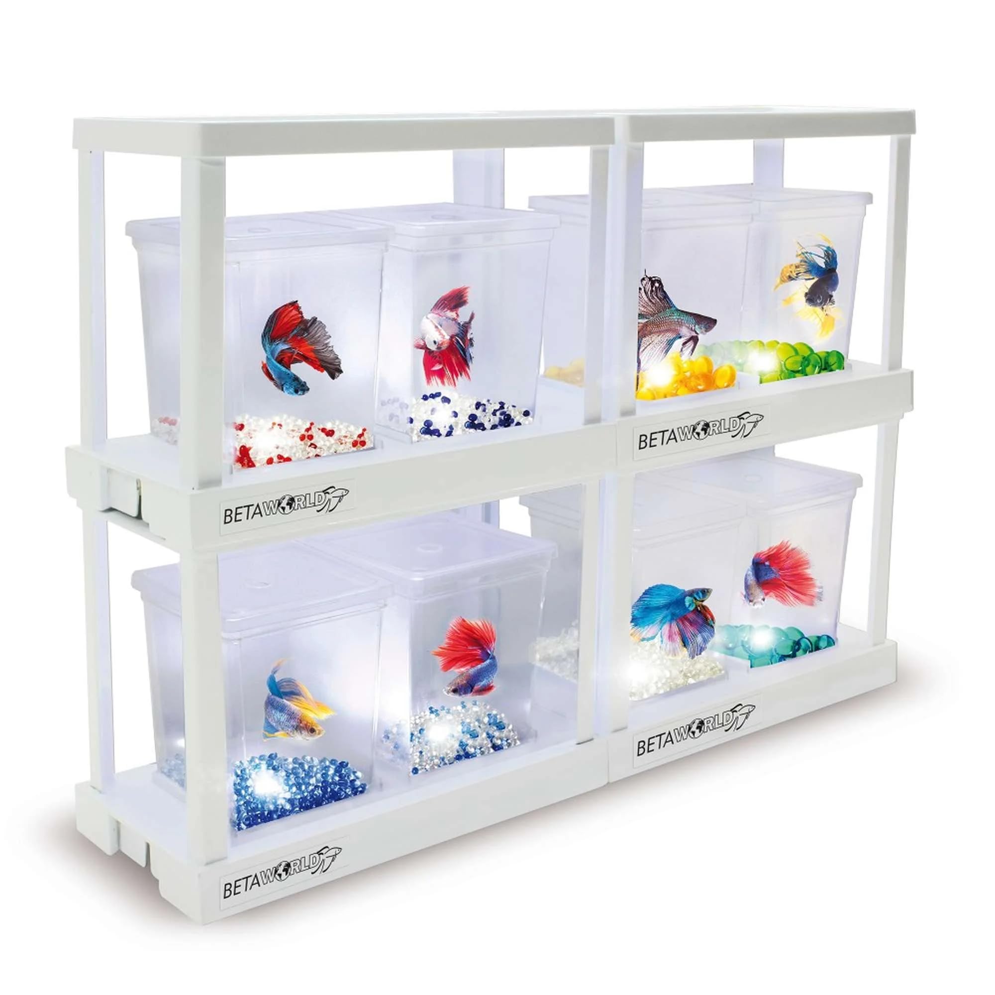 BETAWORLD (Iniciación) 0.75 L - Kit Completo de Betera Interconectable y Apilable, Blanco
