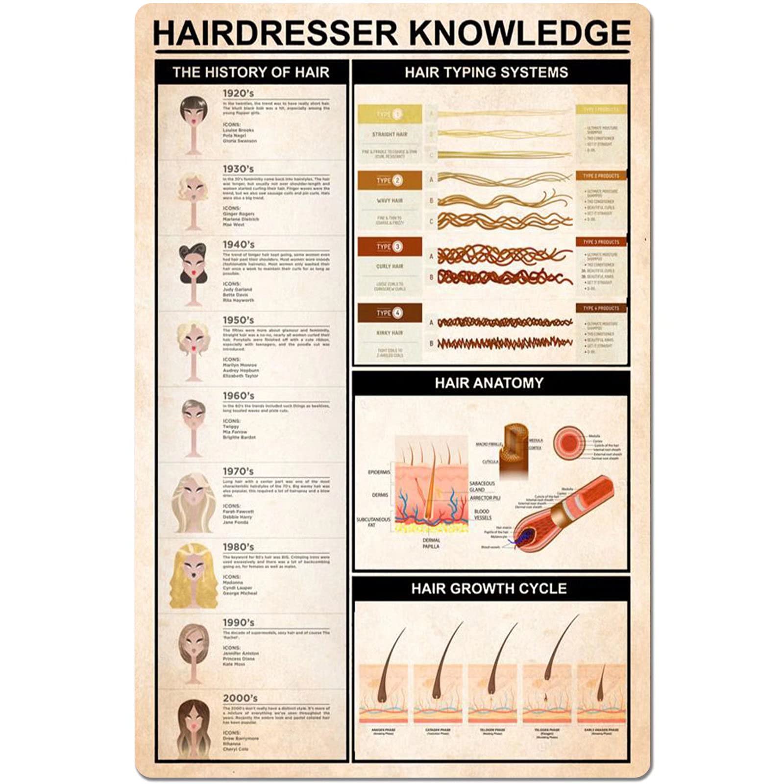 Bioprocess Hairdresser Knowledge Metal Sign Hair Anatomy Typing Systems Infographic Tin Poster For Barber Shop Home Bedroom Shop Restaurant Home Decoration Plaque Wall Decor Poster Metal Sign 8X12 Inches
