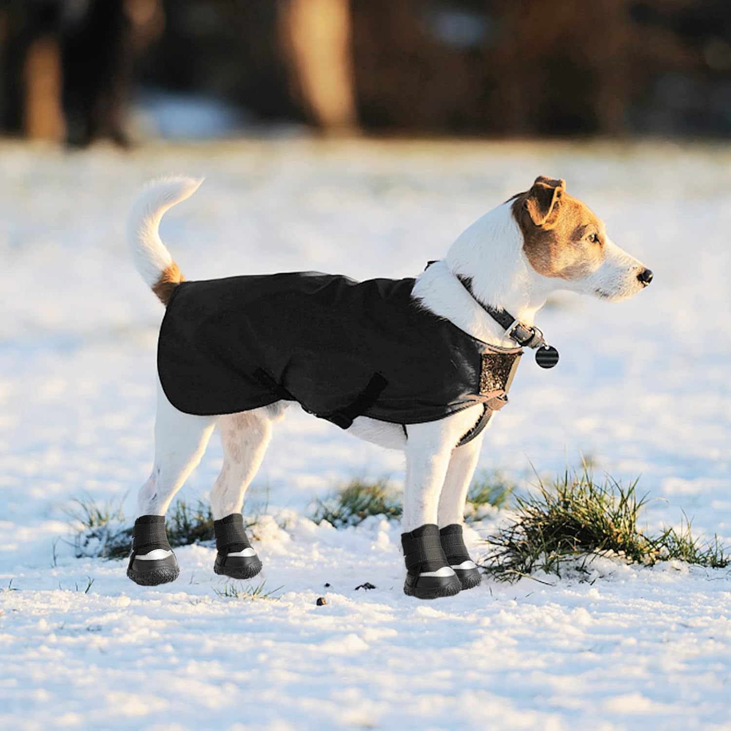 Dog Shoes for Small Dogs Boots for Winter Snow Hot