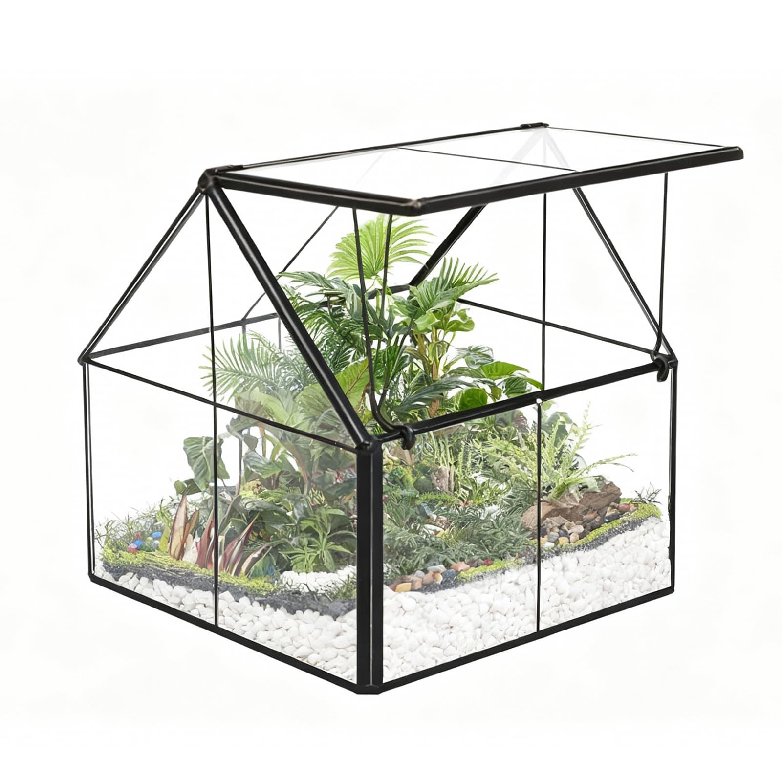 Ferrisland Terrario de Vidrio para Plantas, contenedor Wardian para Interiores, pequeño terrario suculento con Puerta para decoración de Mesa, Regalo de Bricolaje, 5 x 4.3 x 4.3 Pulgadas