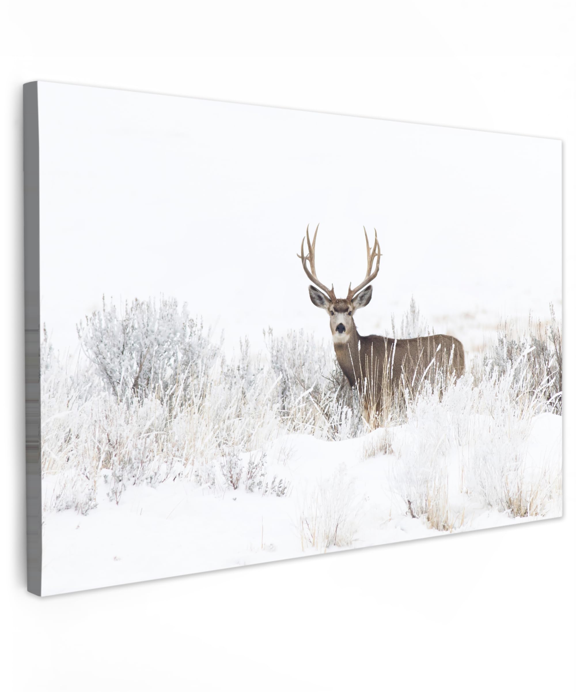 MuchoWow© Canvas Wall Art 24"x16" / 60x40 cm Decor Paintings Prints framed on Canvas Decorations Wallart Deer - Winter - Snow - Animals - Seasons - White — image 1