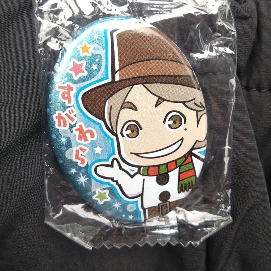 ハイキュー!! 菅原孝支 クリスマス2020 缶バッジ35点 ハイキュー