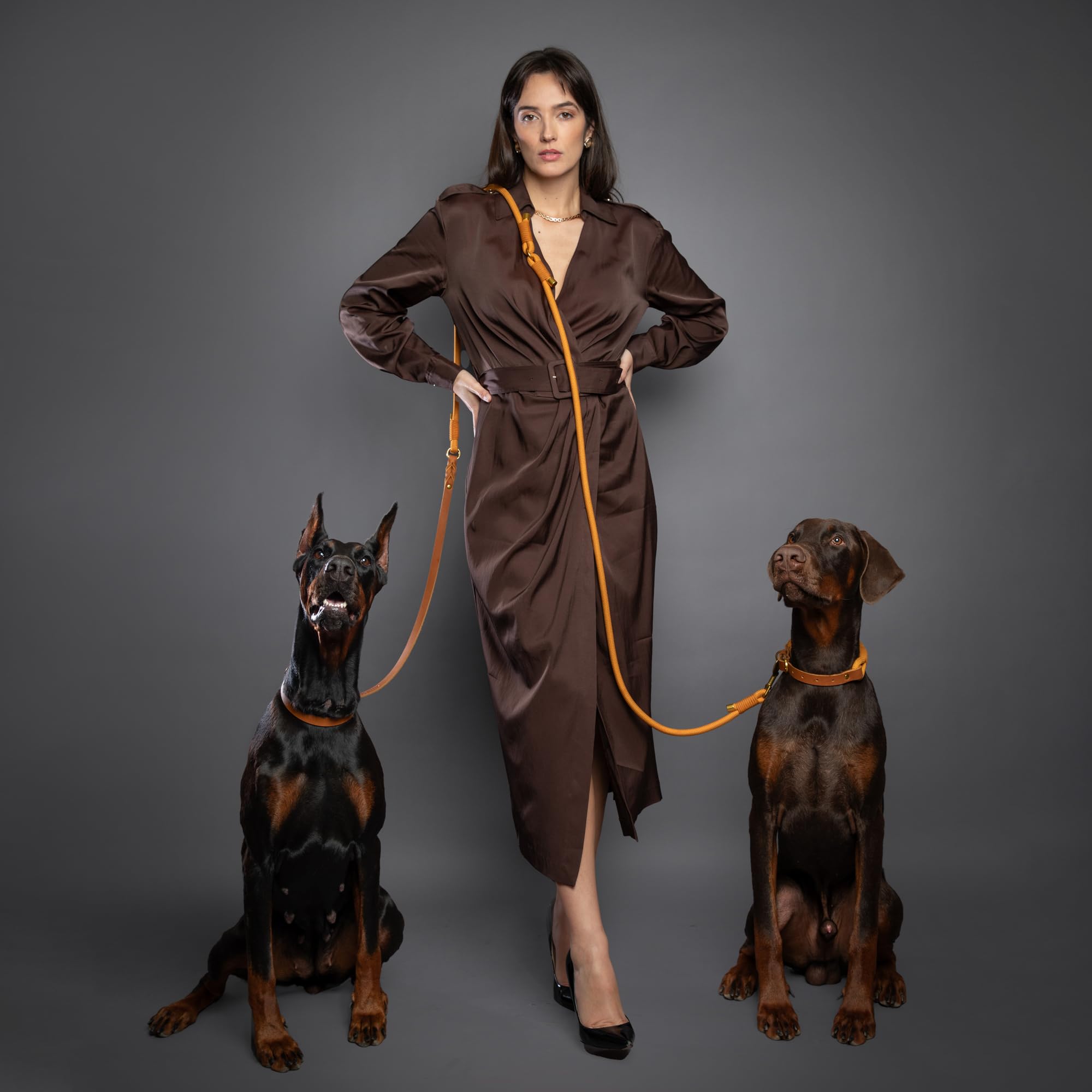 Noah & Paw Laisse Mains Libres pour Chien, Cuir huilé ciré + paracorde résistante, 8 ft (2,4 m), Laisse Longue 6 utilisations (Chats, Petits, Moyens, Grands Chiens) (Camel)