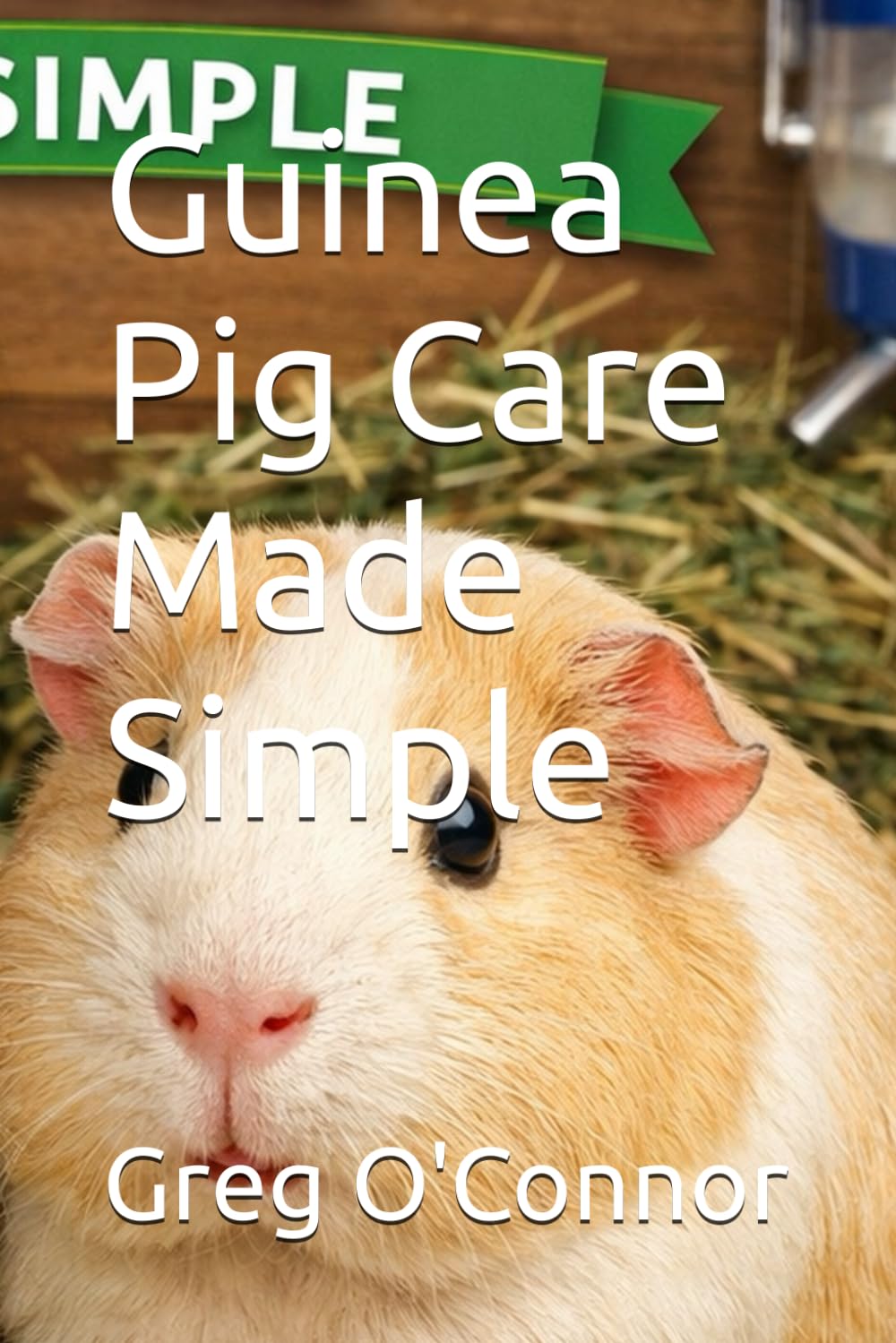 Guinea Pig Care Made Simple