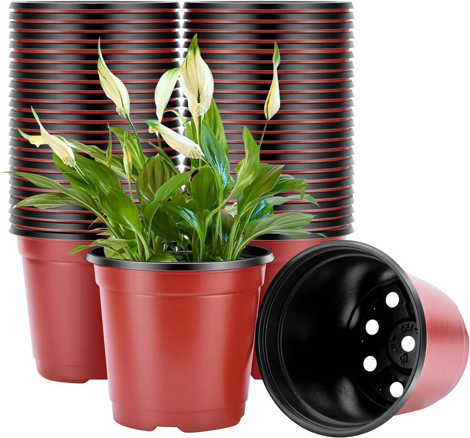 Happiness0401 100 Pack 9cm Plants Nursery Pots,Reusable Plastic Terracotta Bucket Herb Flower Pots Planter Seed Trays for Vegetables,Flowers,Herbs,Cuttings