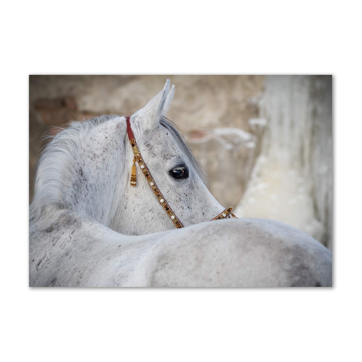 Déco murale salon tableau acrylique cheval blanc pour ambiance épurée