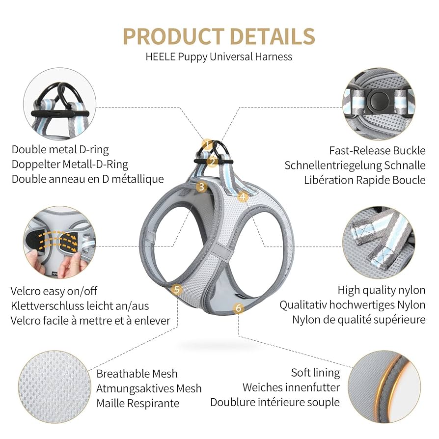 Rabbitgoo Escape Proof Dog Harness, Soft Padded Full Body Pet Harness, Reflective Adjustable No Pull Walking Hiking Training, M, Black