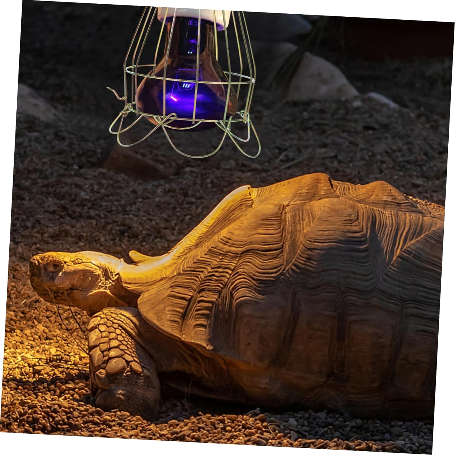 POPETPOP 5pcs Box Turtle Basking Lamp Heat Lamp Protector Cage Reptile Removable Lampshade for Habitat Lighting Shade