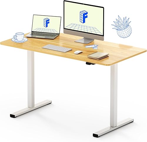 FLEXISPOT Escritorio de pie de 48 x 24 pulgadas, escritorio de altura ajustable, escritorio eléctrico para sentarse de pie, escritorio de oficina en