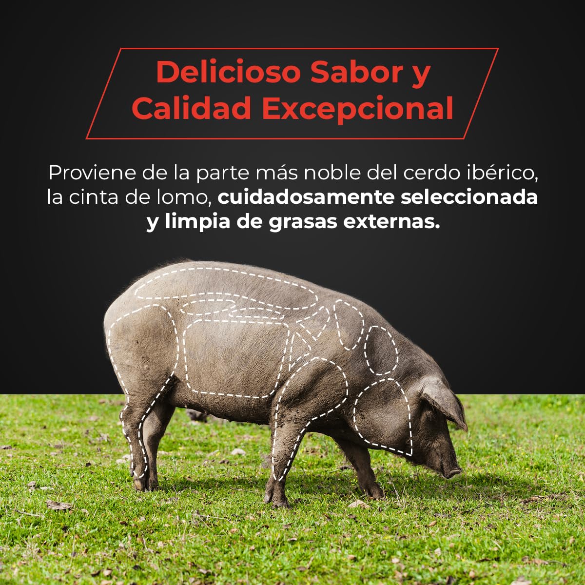Medio Lomo de Cebo Ibérico 50% Raza Ibérica Certificado - Elaboración Tradicional - Curación Natural - Entre 500 y 650 g - Apto para celíacos - EIbérico