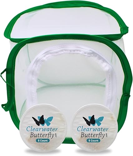 Clearwater Butterfly - Mariposas pintadas en vivo, kit de cultivo de mariposas con orugas vivas, jaula de malla incluida, hábitat de mariposas, 10