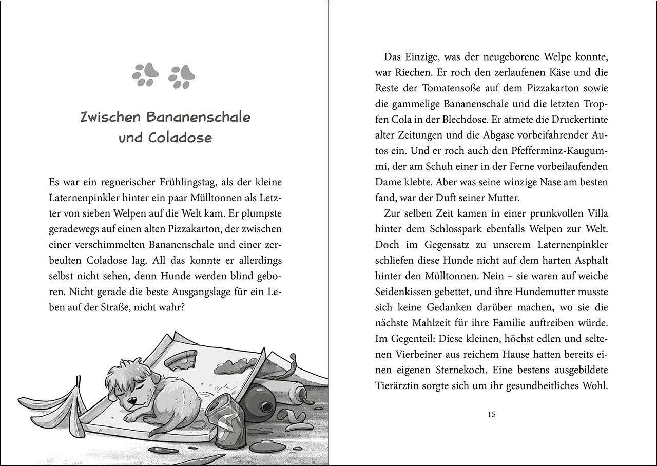 Die Straßengäng (Band 1) - Eine Pfote wäscht die andere: Erlebe die Abenteuer einer (fast) furchtlosen Gang - Kinderbuch mit urkomischen Tieren ab 8 Jahren