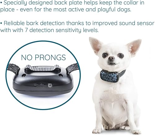 Miniatura 5 de GoodBoy Collar pequeño recargable para perros pequeños a medianos, resistente a la intemperie y vibración, dispositivo de entrenamiento antiladridos