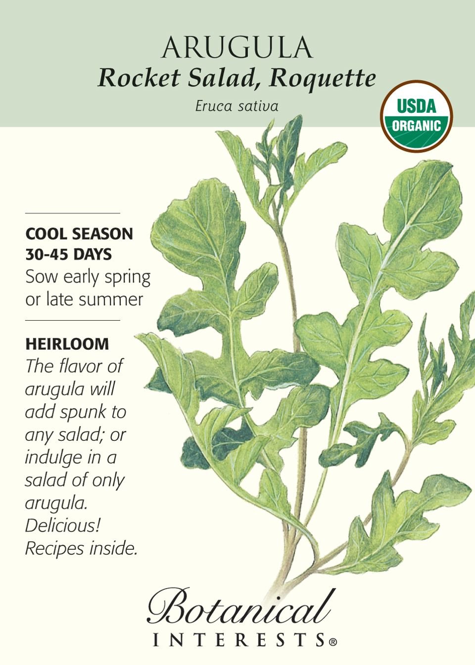Botanical Interest - Arugula Rocket Salad (Certified Organic)