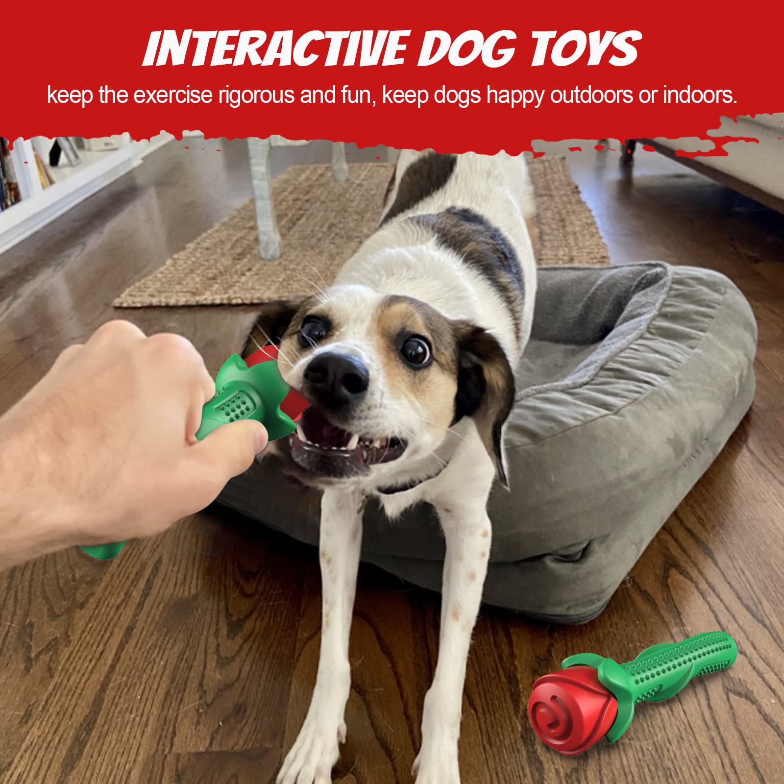 Amazon.com : ucho Dog Toys for Aggressive Chewers, Rose Dog Toy for Small  Medium Dogs, Interactive Chew Toys for Training and Cleaning Teeth : Pet  Supplies