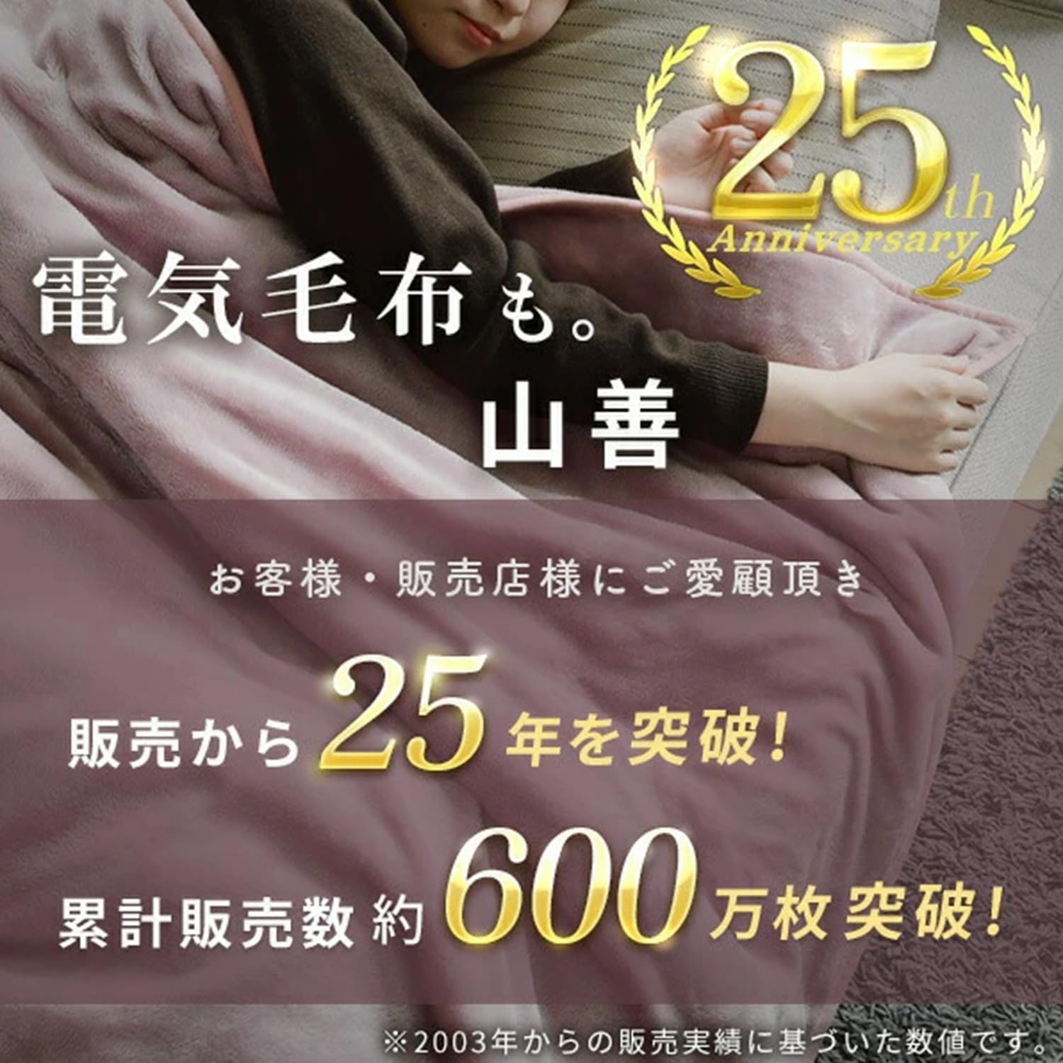 美品 日立 電気毛布 シングル タイマー 室温センサー付き 大きいサイズ 美品 日立 電気毛布 シングル タイマー 室温センサー付き 大きい