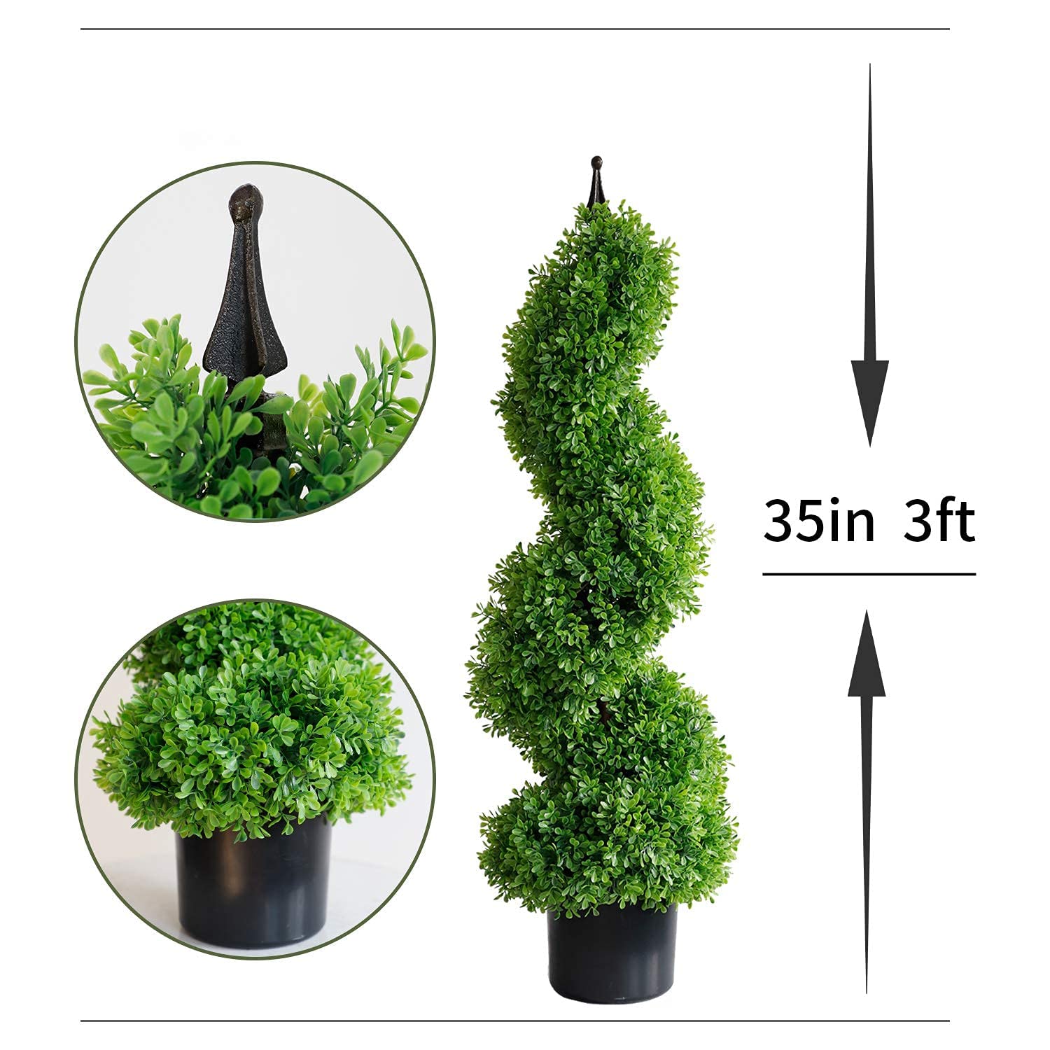 Preserved Boxwood Topiary Mixed 24