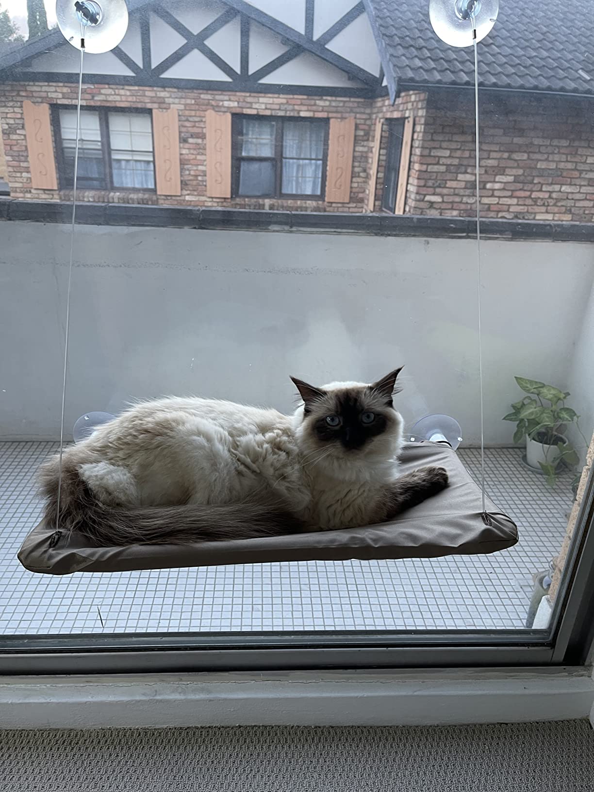 Kazoo Kazoo The Lookout Window Cat Bed, Pet Supplies