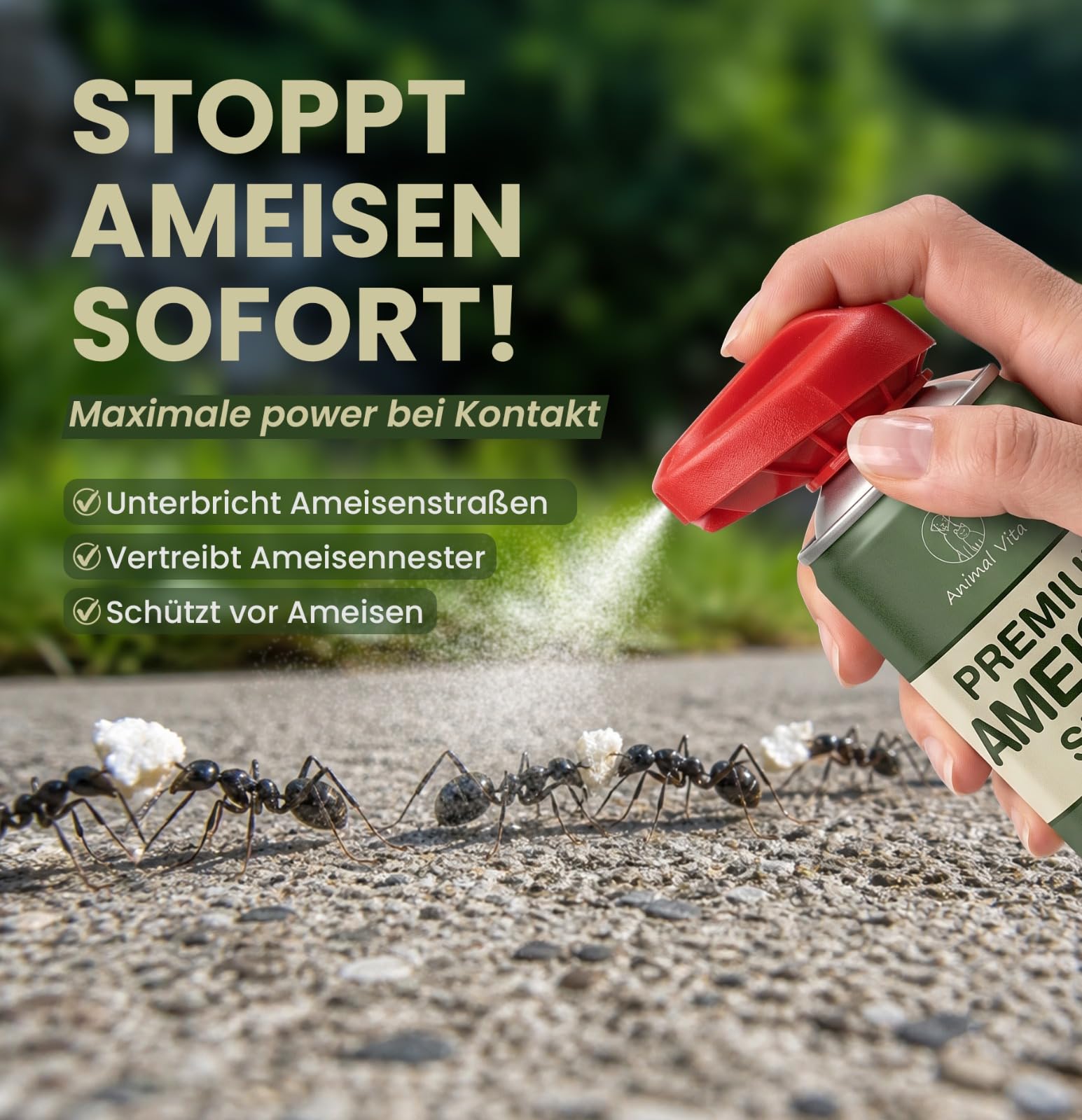 Animal Vita Ameisen Premium Spray [hochwirksam] - Ameisenspray mit effektiver Sofortwirkung für Innen & Außen - Mittel gegen Ameisen – wirkt schnell und zuverlässig