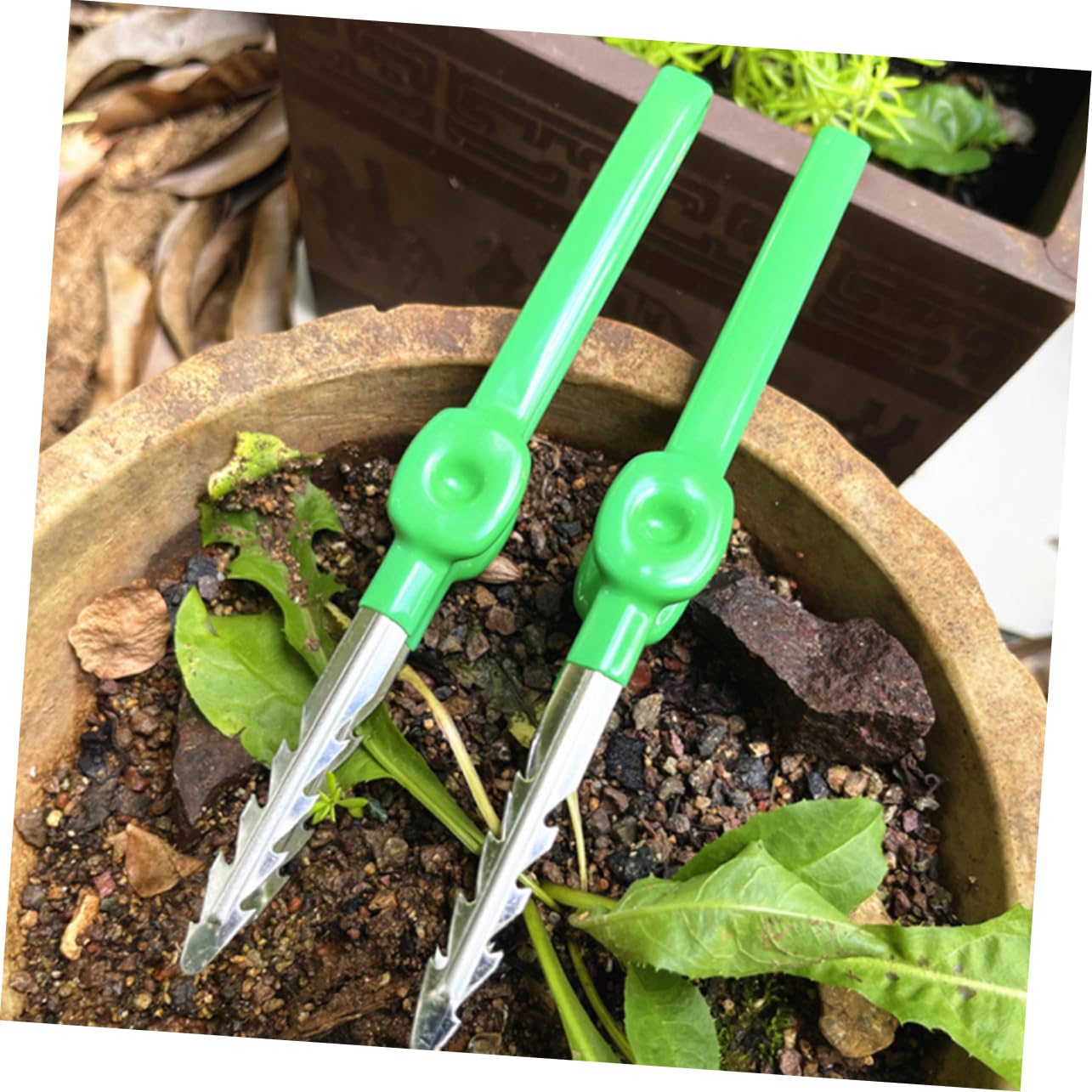 BCOATH Portable Gardening Tweezer Tool Multi Use Bonsai and Plant Care Tweezer for Succulents Home Vegetable Garden for Precision Tasks and Fun Gardening Activities