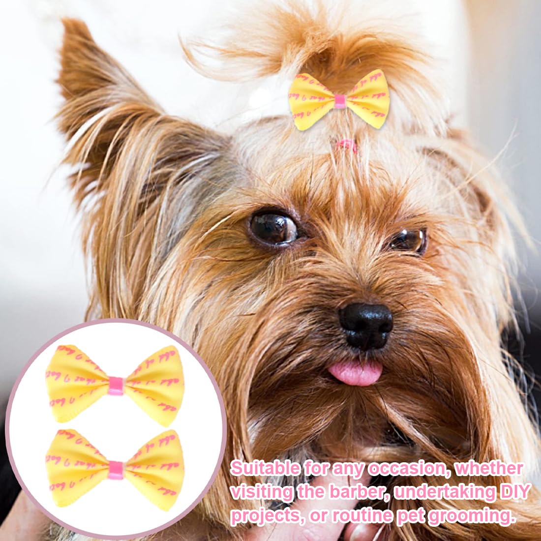 Set de 10 Noeuds à Cheveux pour Chien avec Clips, Barrettes et Accessoires de Toilettage