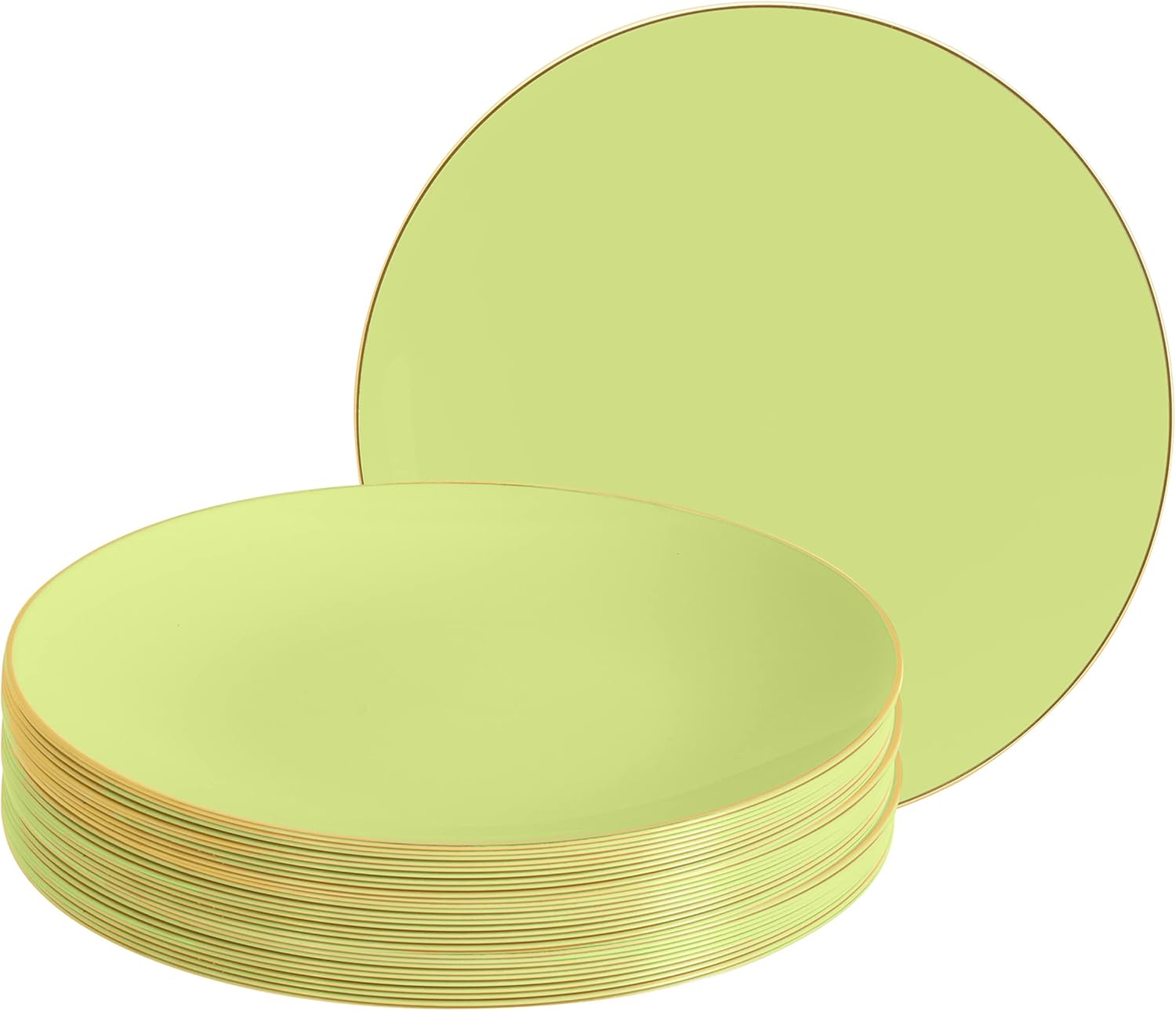 LUXE PARTY NYC Plastic 30 Pack Dinnerware Plates
