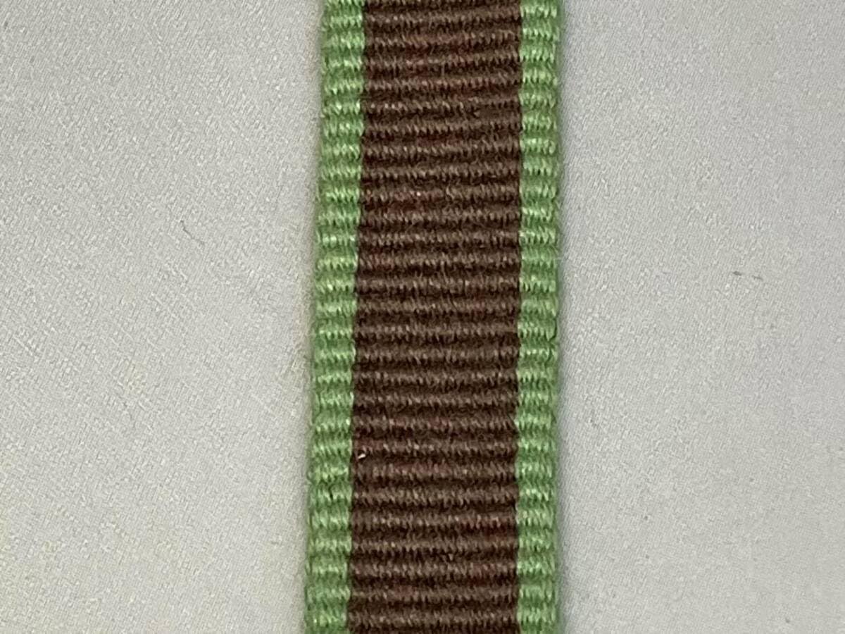 ◎箱紐◎ 真田紐 木綿袋紐 4分（12㎜）15m 緑に茶線 59