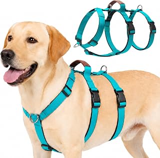 Sicherheitsgeschirr Hund, Ausbruchsicheres Anti Zug Geschirr Hund mit Gepolstertem Griff, Panikgeschirr für Hunde, Verstellbare No Pull Dog Harness for Mittelgroße und Große Hunde (Türkis, M)