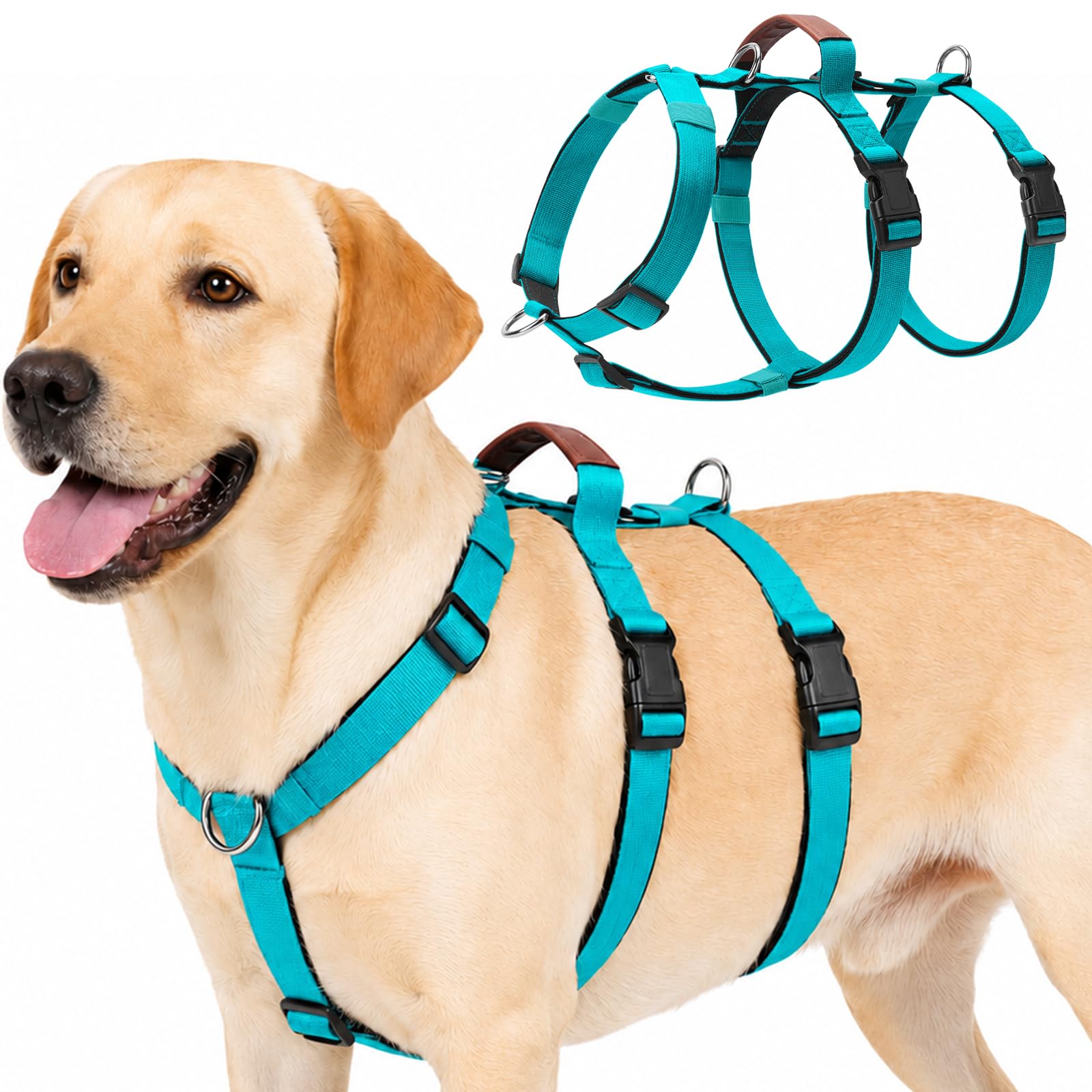 Olcyren Escape Proof Dog Harness, No Pull 3 Point Dog Harness with Front Clip, Anti Pull Adjustable Breathable Pet Vest with Soft Padded Handle for Medium Large Dogs Walking Training (Turquoise, L)