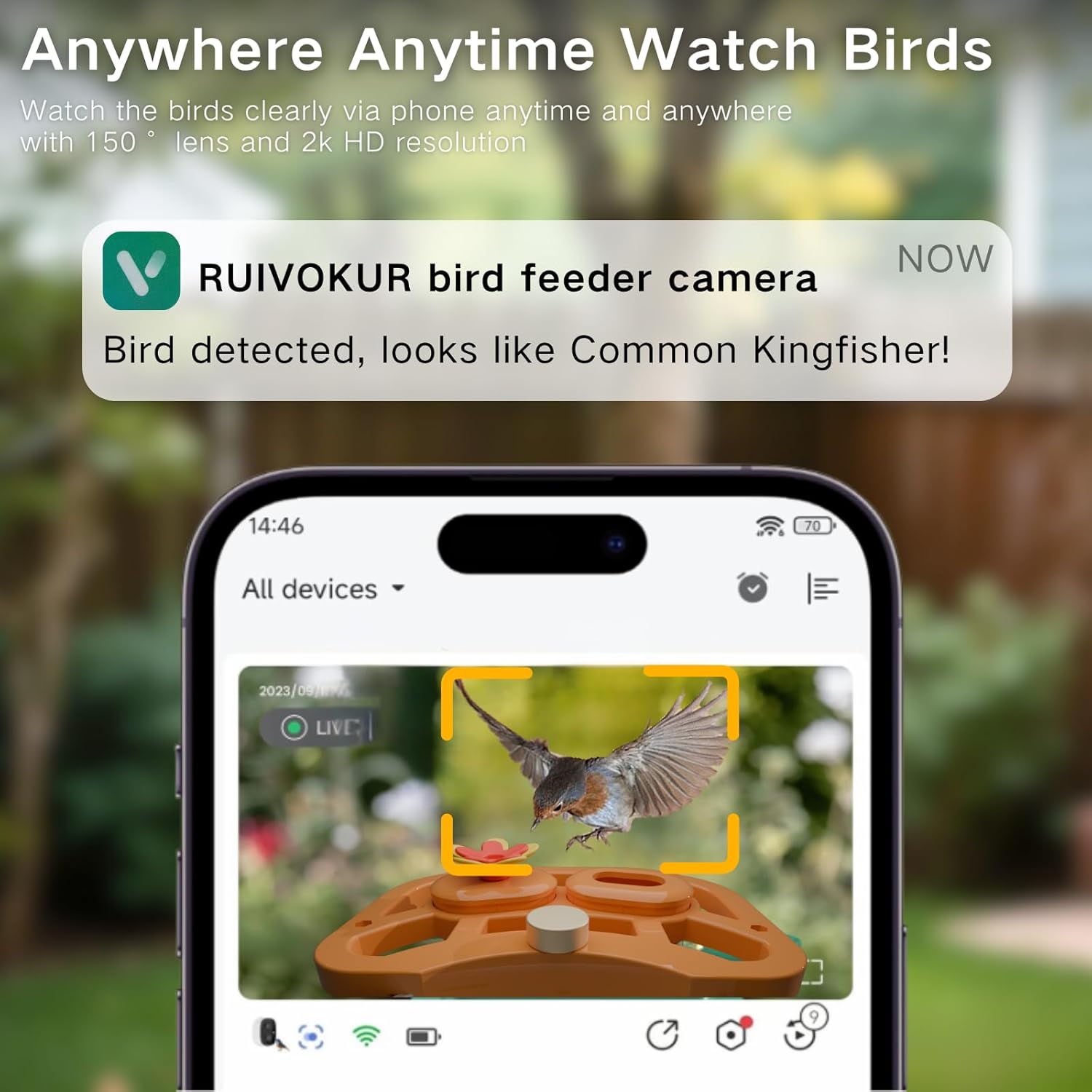 Bird Feeder with Camera with Solar Panel, Smart Bird Feeder Wireless Outdoor with Ai Identify 11000+ Birds Species, 2k Hd Video Live Stream View, Instant Arrival Alerts, Gifts - Image 2