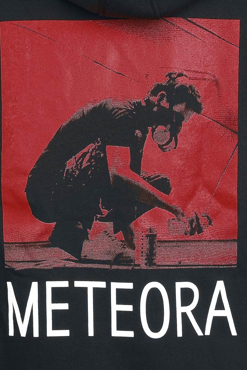 Linkin Park Meteora Red Männer Kapuzenjacke schwarz