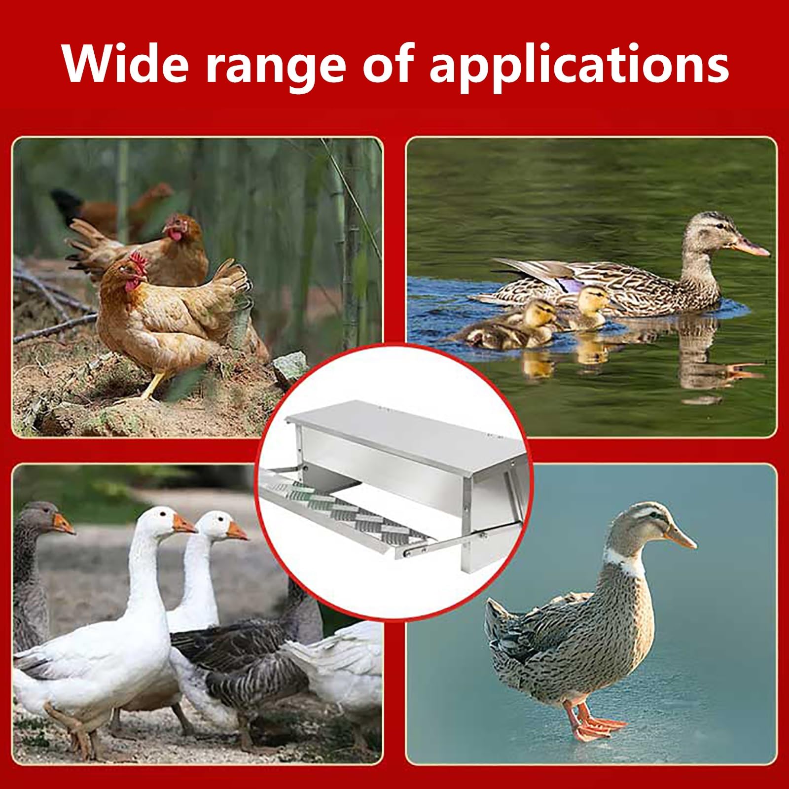 Comedero automático para pollos, sin residuos, de acero inoxidable, con diseño resistente a la intemperie y estructura estable, cubierta superior para una fácil gestión de la alimentación