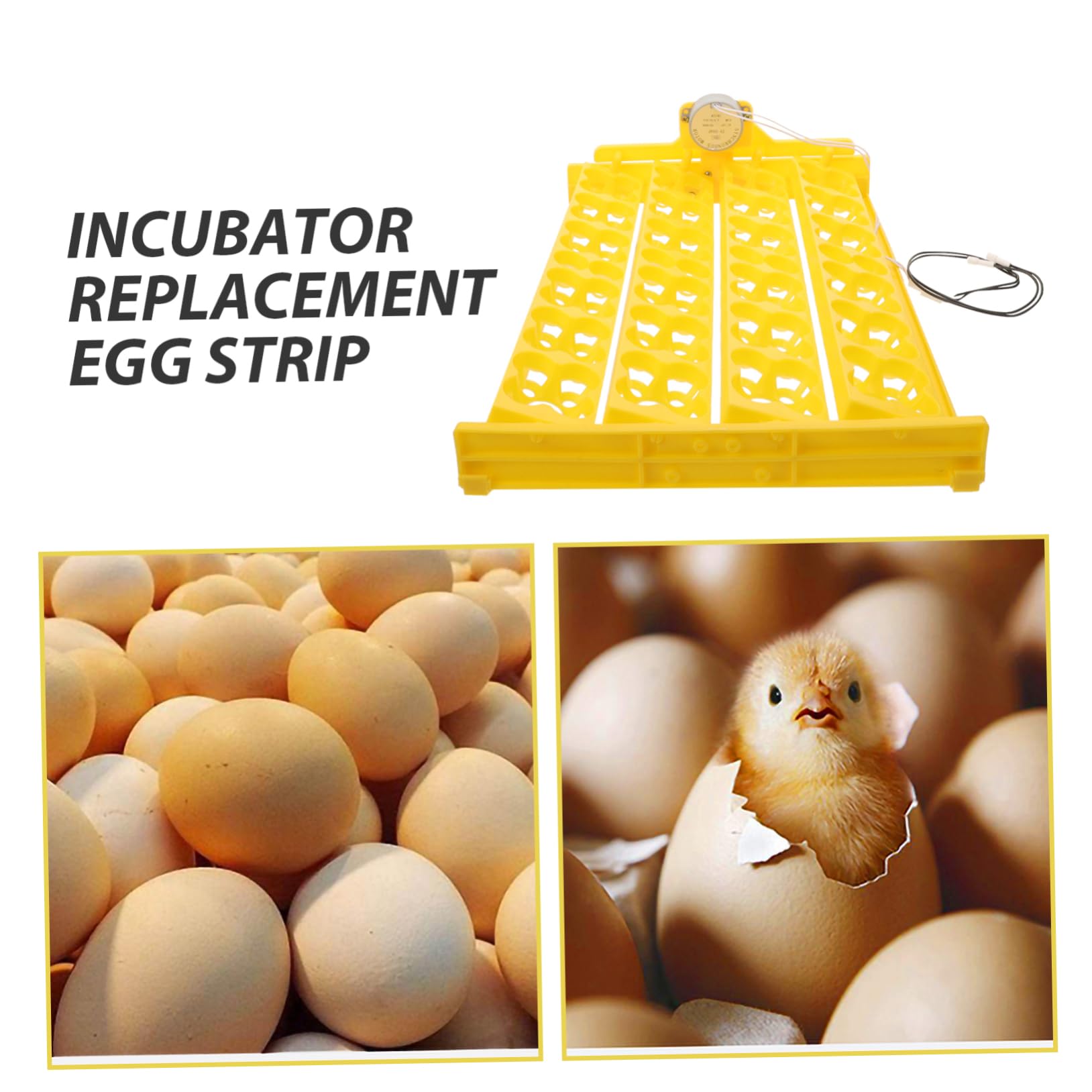 BESPORTBLE Vassoio Migliora L'efficienza di Schiusa la Percentuale di Sgusciatura per Incubatrice Automatica in Plastico e Metallo per Uova di Gallina e Tacchino