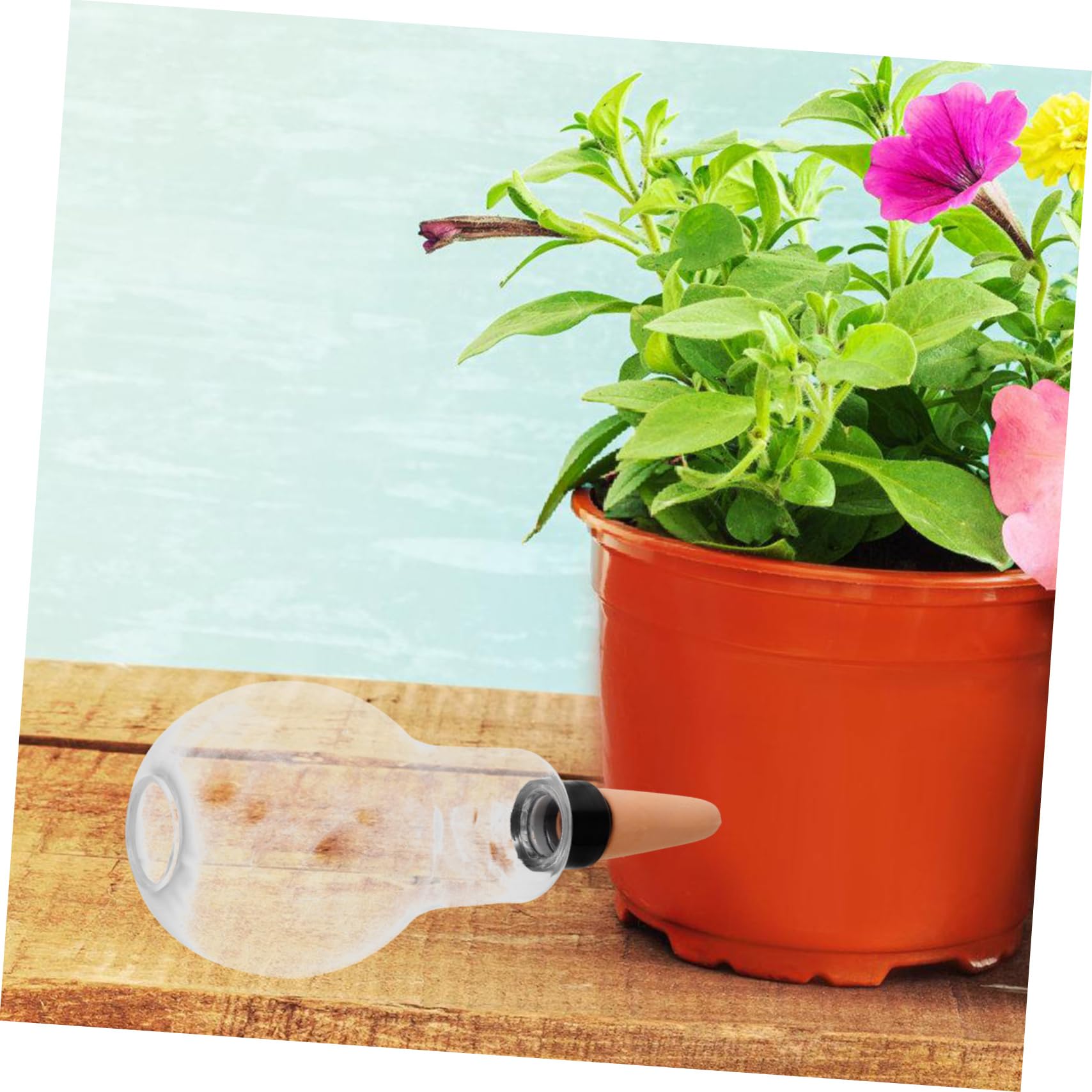 TOYANDONA 8pièces Globes Arrosage Automatique pour Plantes Intérieur Et Extérieur à pour Et Plantes Pot Pratique Et pour Arrosage